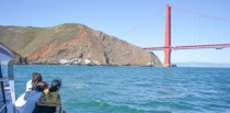 عبارة ركاب في خليج سان فرانسيسكو