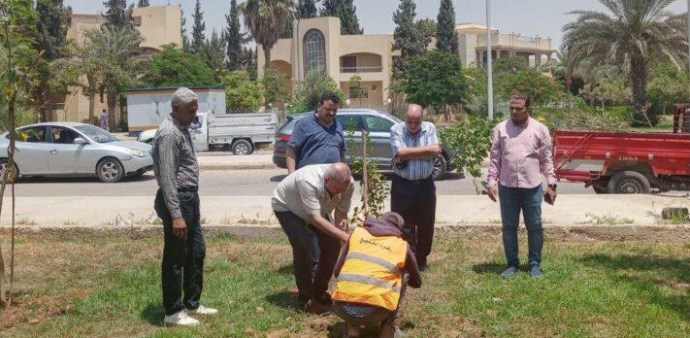 زراعة أشجار مثمرة في مدينة الشروق