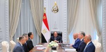 الرئيس السيسي يوجه الحكومة بتوطين صناعة الكيماويات 