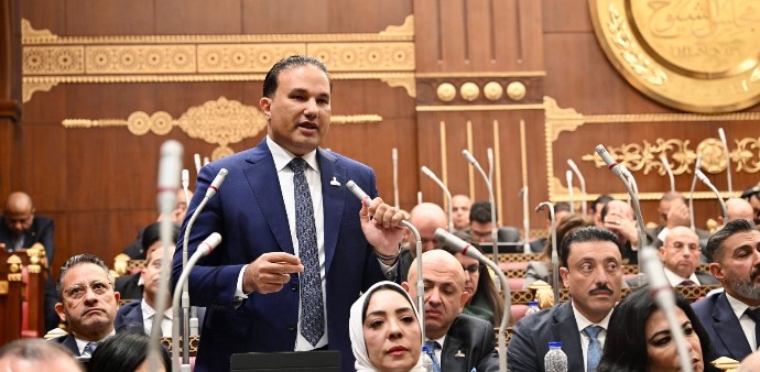 تامر عبد الحميد، عضو مجلس الشيوخ