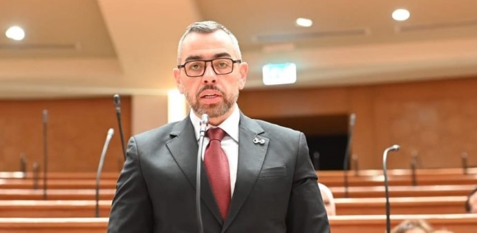 النائب محمد فؤاد